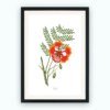 Print – Gulmohar Print – Gulmohar