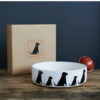 Dog Bowl Labrador