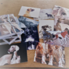 Dog Cards