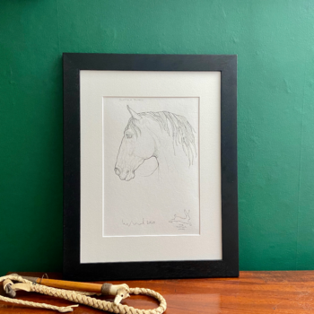 Horse Prints by Susan Leyland Handsome