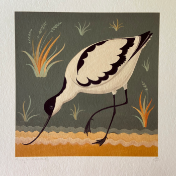 A is for Avocet Bird Print