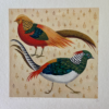 Trump & Lady Amherst Bird Print Trump & Lady Amherst Bird Print