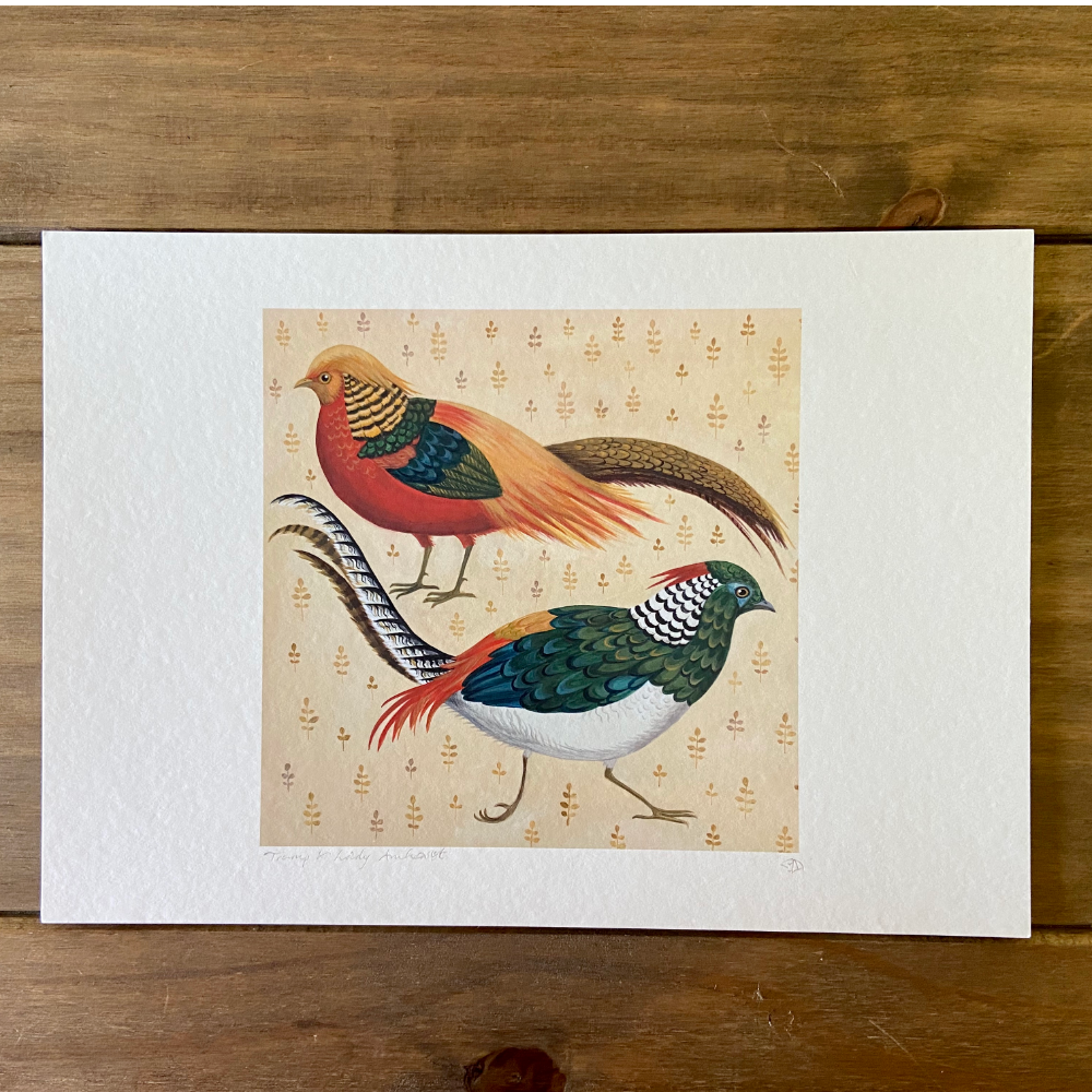 Trump & Lady Amherst Bird Print Trump & Lady Amherst Bird Print - Image 2