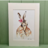 Exotic Hare Exotic Hare