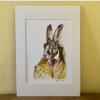 Hare in a Suit