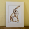 Seated Hare