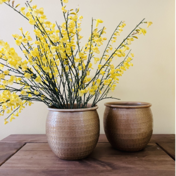 Nkuku Tembesi Etched Planter set of 2