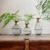 Nkuku Miza Mini Glass Vase Nkuku Miza Mini Glass Vase