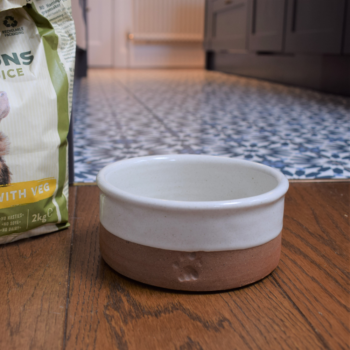 Stoneware Dog Bowl