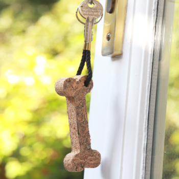 Cork Key Ring, Heart, Fish or Bone Design