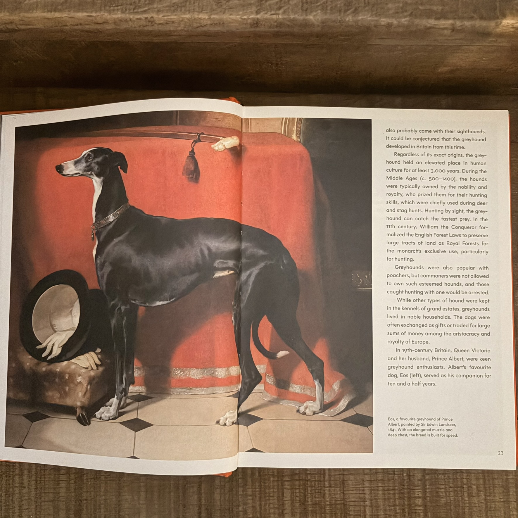 The Invention of the Dog The Invention of the Dog - Image 8